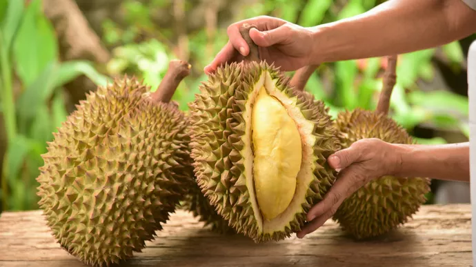 Manfaat Durian untuk Kesehatan Tubuh yang Jarang Diketahui